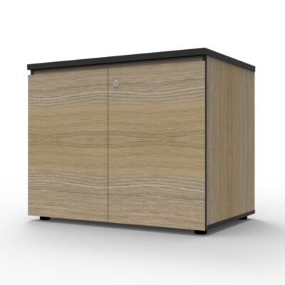 RL Infinity Swing Door Cupboards