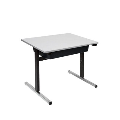 600w-T-leg-student-desk.jpg