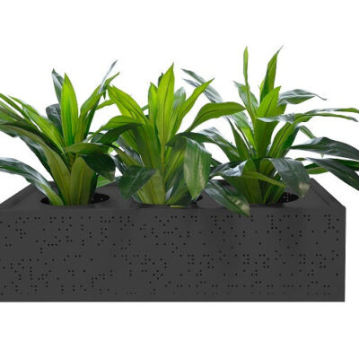Black-Planter-1_ce019e11-eb7a-4129-b51e-7a320deed720.jpg