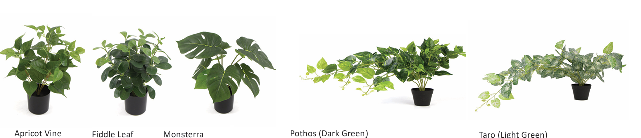 DD_Plant_Options-20.png