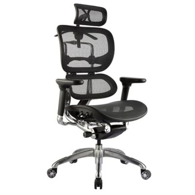 ERGO-1H.jpg