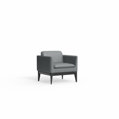 Madison-1-User-45-Degree.png