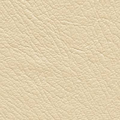 Matic_Vinyl_Coconut-1.jpg