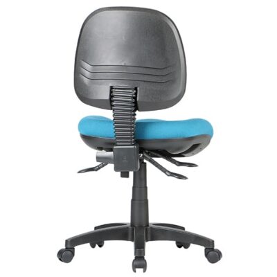 P350_back-view-1.jpg
