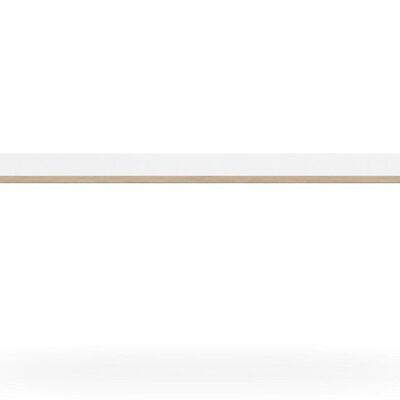 Plaza_Desk_PlywoodEdge_Front_01-1.jpg