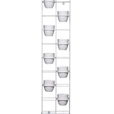 Rapid-Bloom-W-1-667x1000-1.png