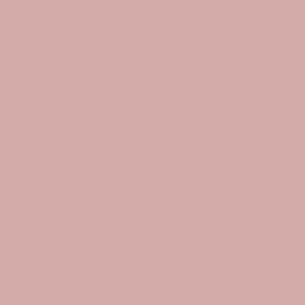 Salmon-5_57d8bd2d-c099-4e82-be89-a09507ed716f.png