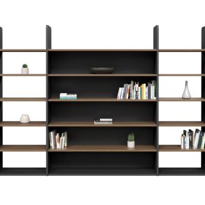 Showcase-Display.jpg
