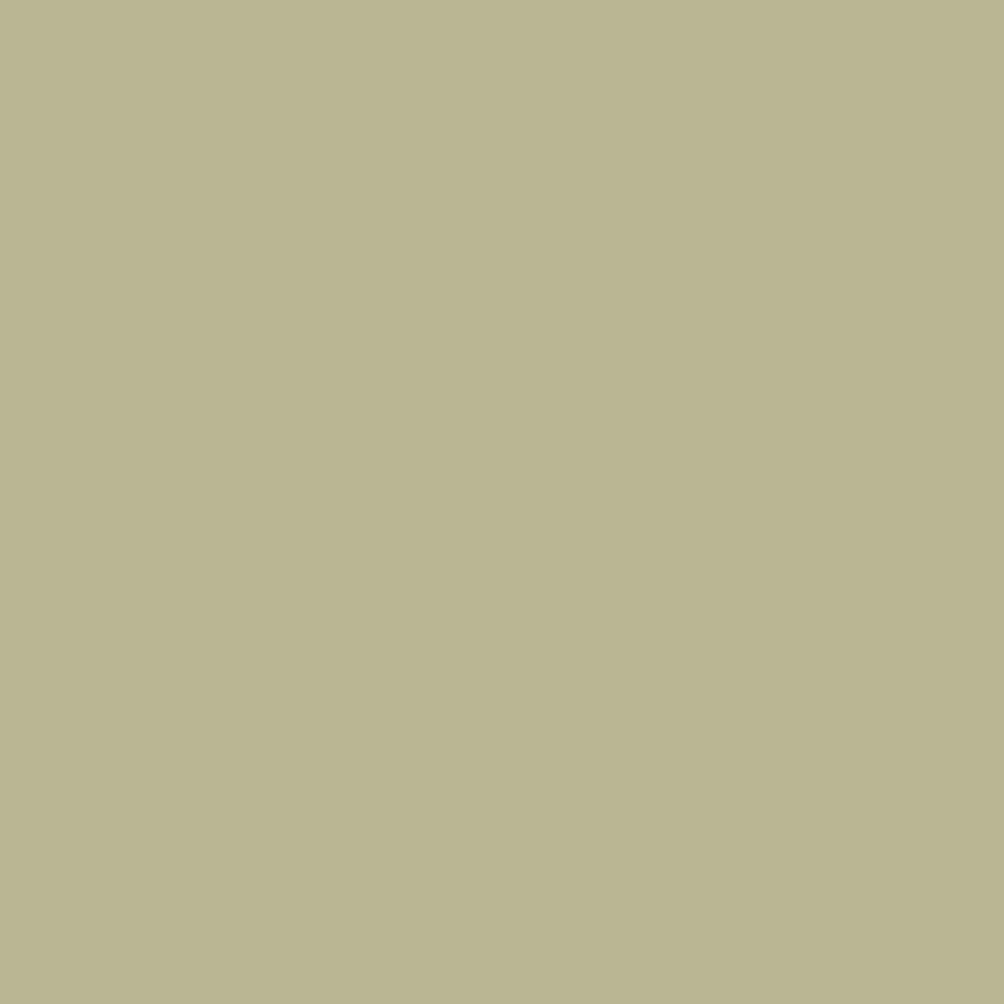 Splice_Fossil-1.png